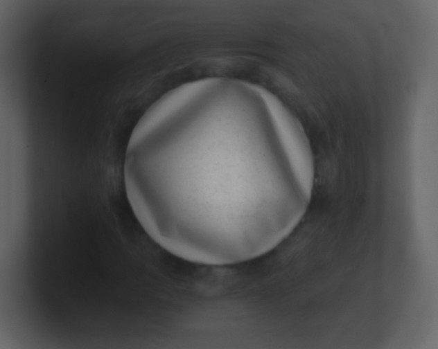 X0000100901109200807081056