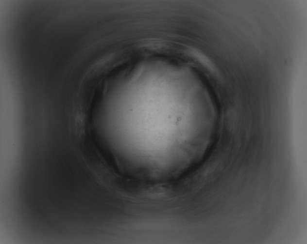 X0000100901111200807081056