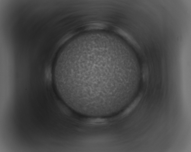 X0000100901113200807081057