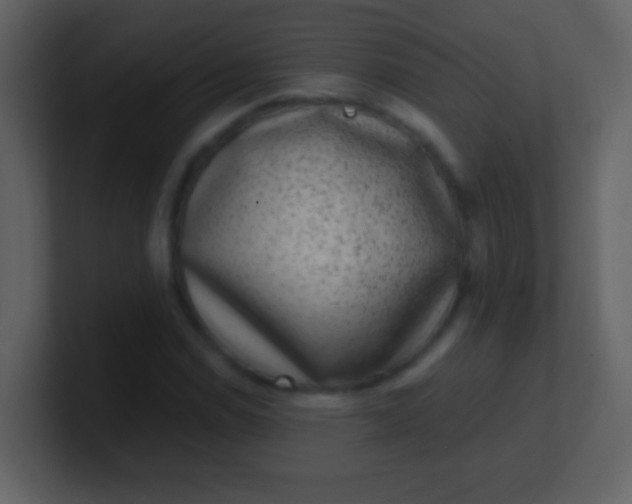 X0000100901114200807081057