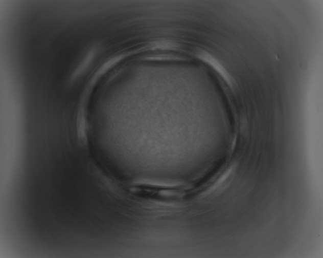 X0000100901115200807081057