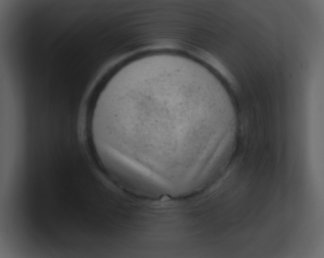 X0000100901116200807081057