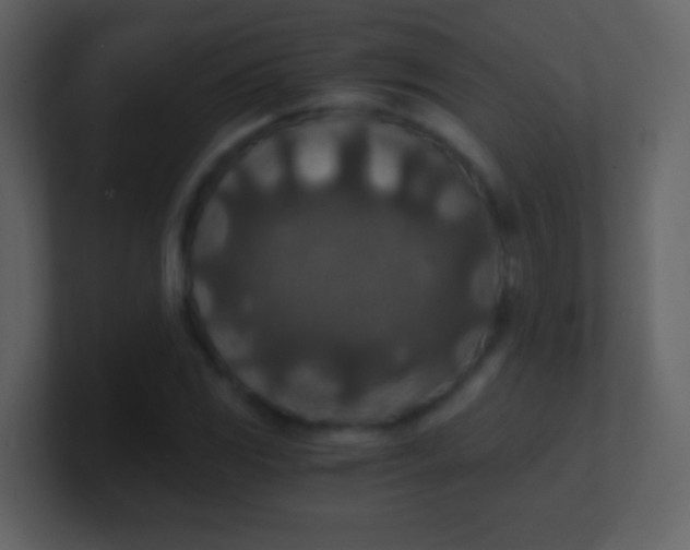 X0000100901117200807081057