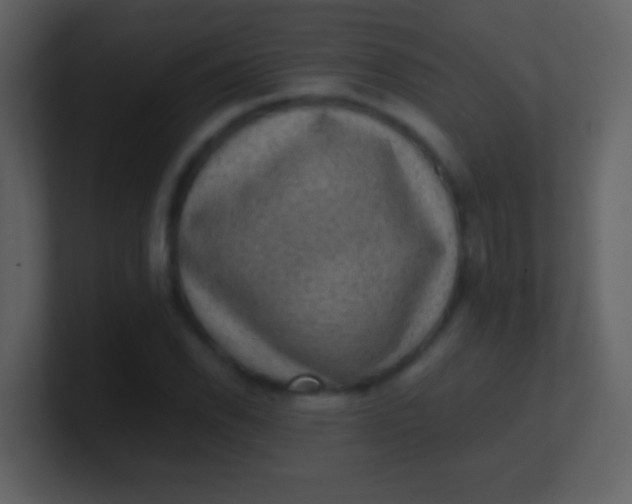 X0000100901118200807081057