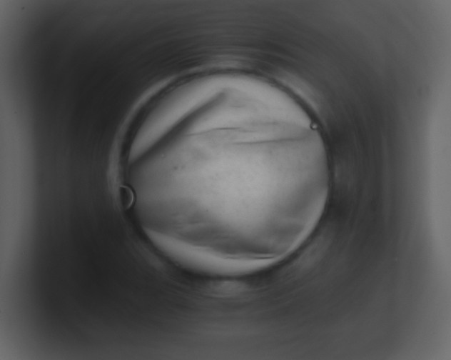 X0000100901119200807081057