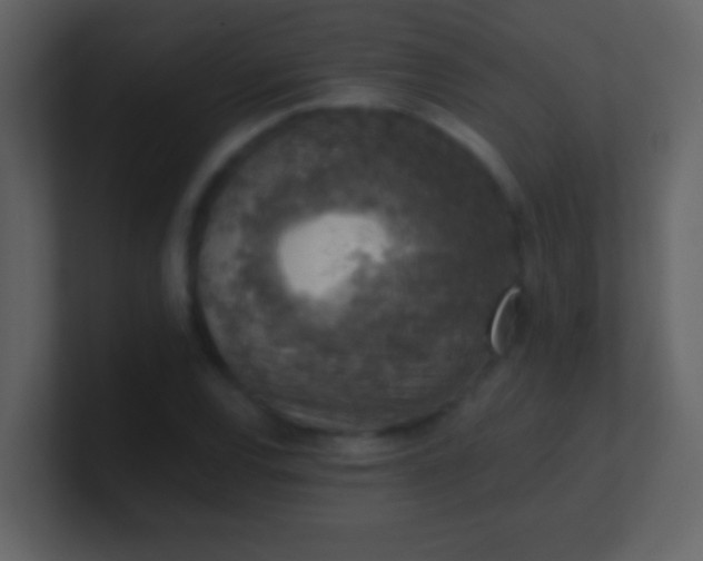 X0000100901120200807081057