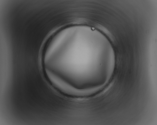 X0000100901122200807081057