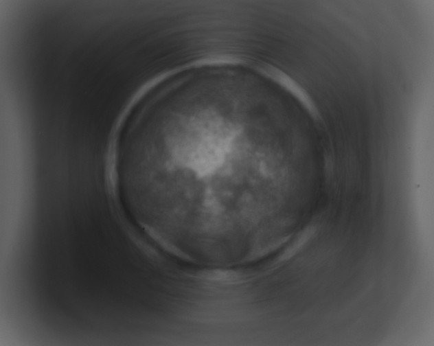 X0000100901124200807081057