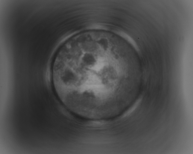 X0000100901125200807081057