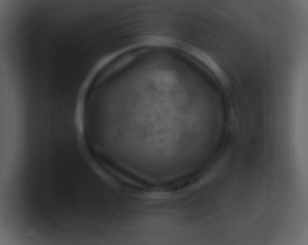 X0000100901128200807081057