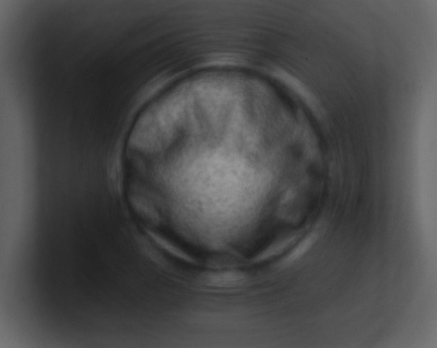 X0000100901129200807081057