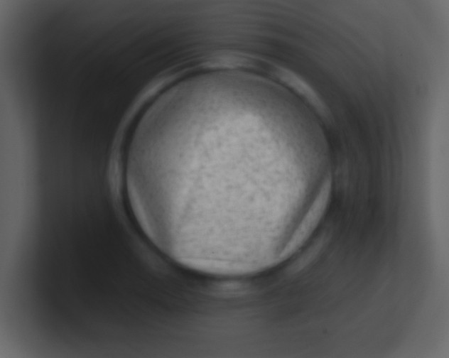 X0000100901130200807081057