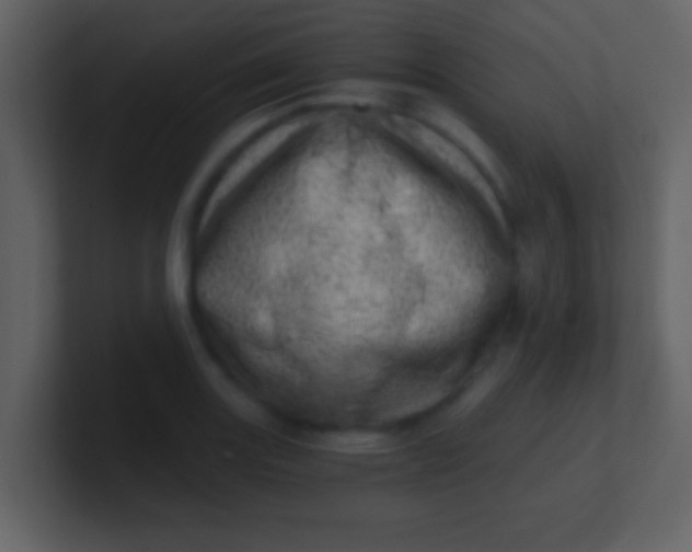 X0000100901131200807081057