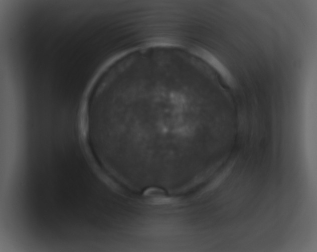 X0000100901132200807081057