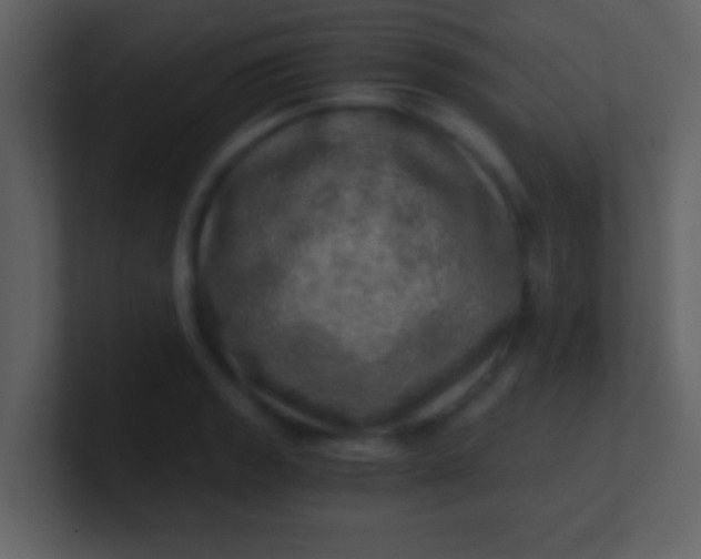 X0000100901133200807081057