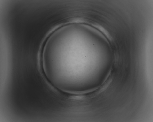 X0000100901134200807081057