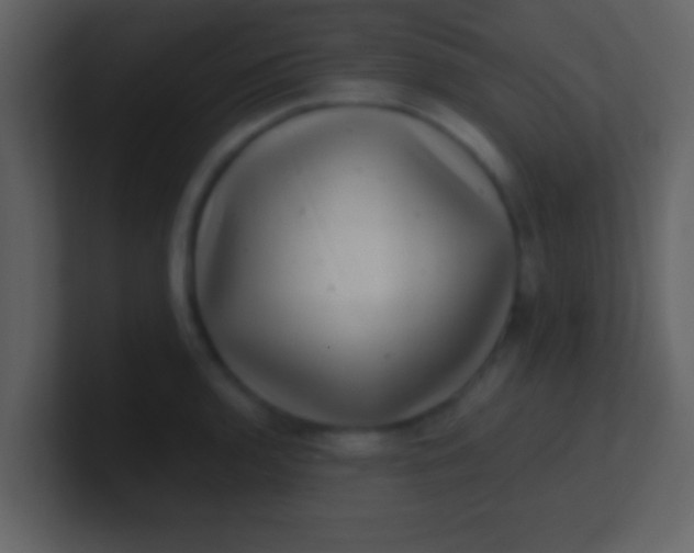 X0000100901136200807081057