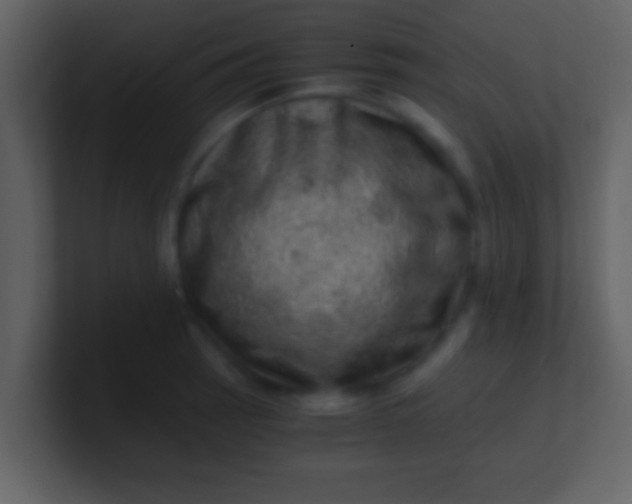 X0000100901137200807081057