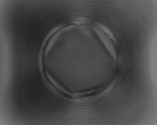 X0000100901138200807081057