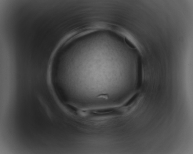 X0000100901139200807081057