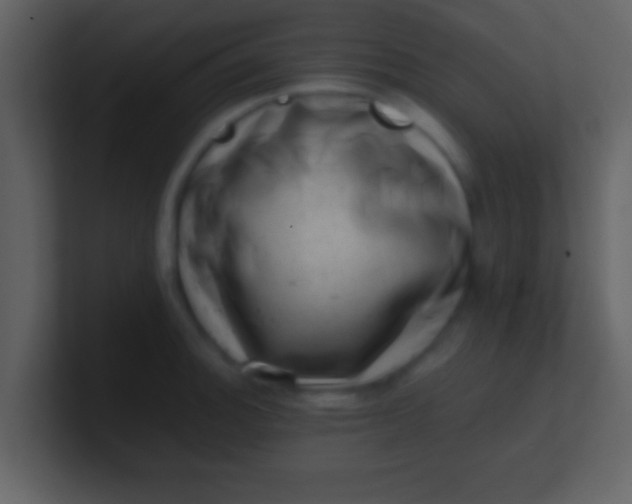 X0000100901140200807081057