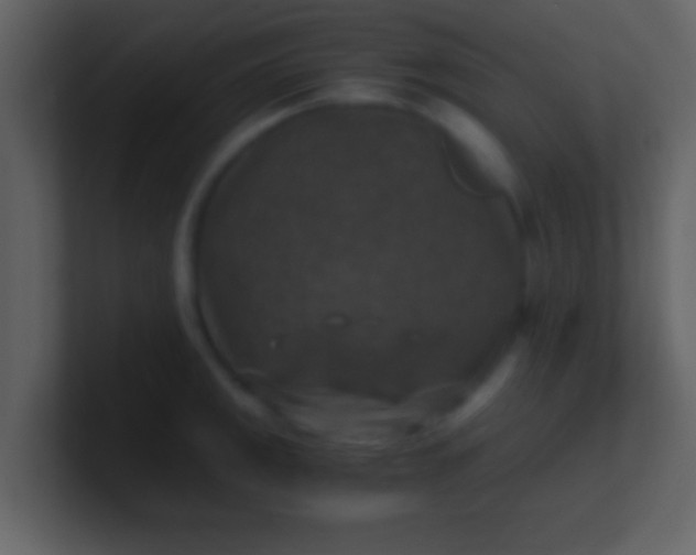 X0000100901141200807081057