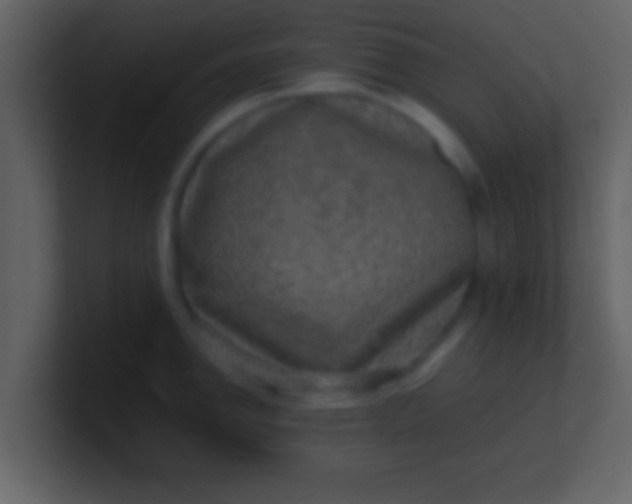 X0000100901142200807081057