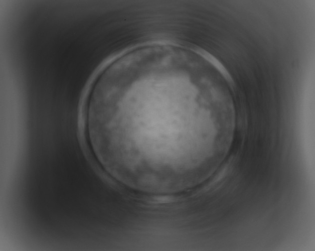 X0000100901144200807081057