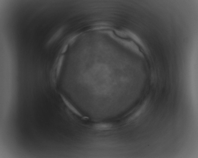 X0000100901145200807081057