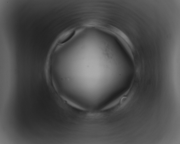 X0000100901146200807081057