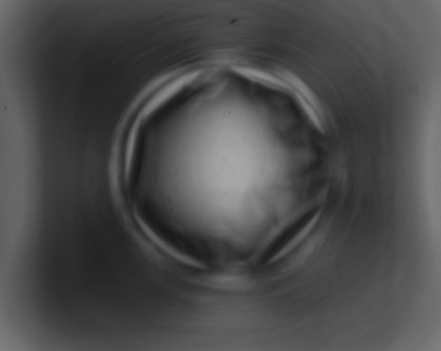 X0000100901147200807081057