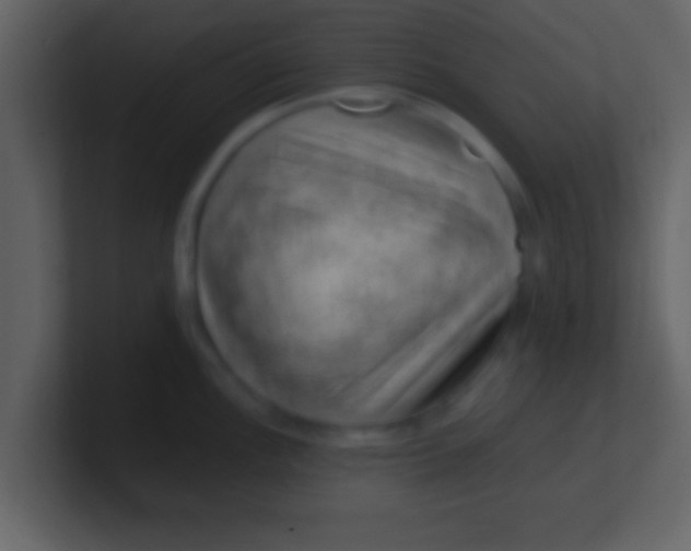 X0000100901148200807081057