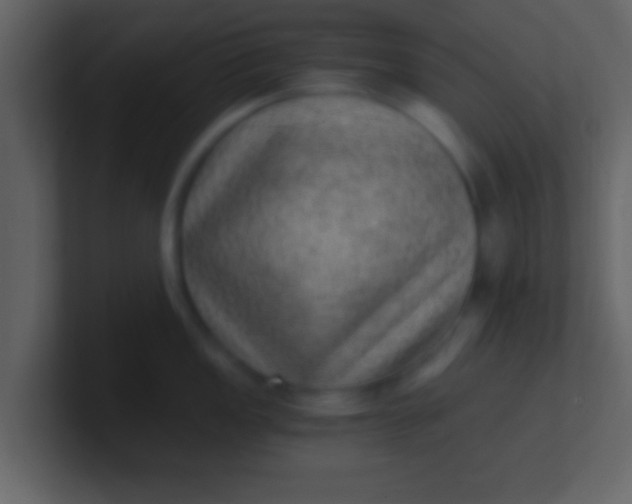 X0000100901149200807081057