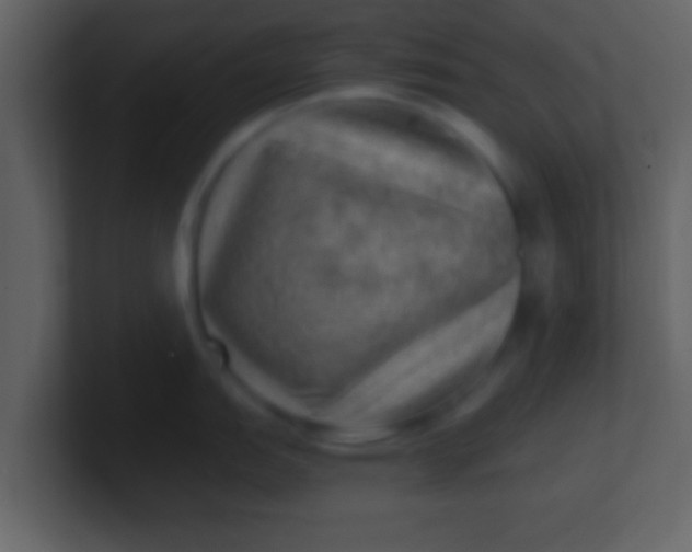 X0000100901151200807081057