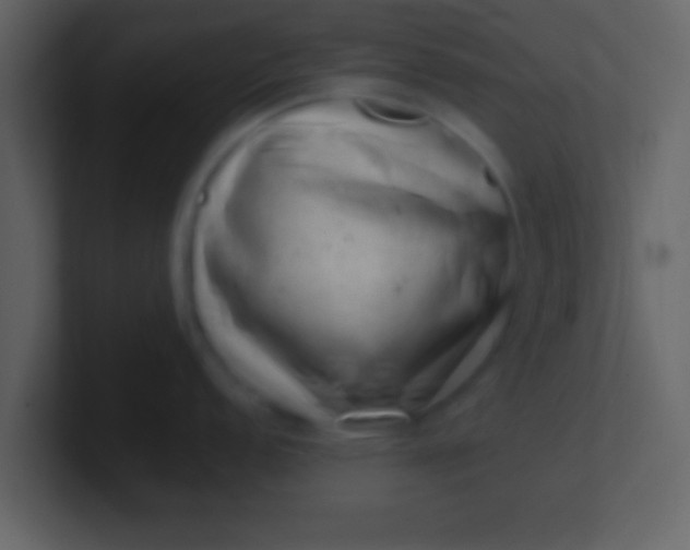 X0000100901152200807081057