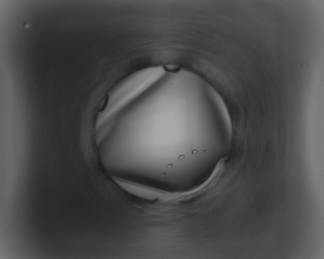 X0000100901153200807081056