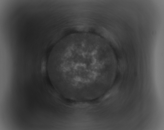 X0000100901154200807081056