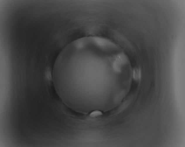 X0000100901155200807081056