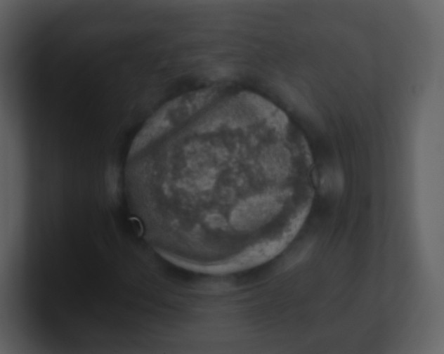 X0000100901156200807081056