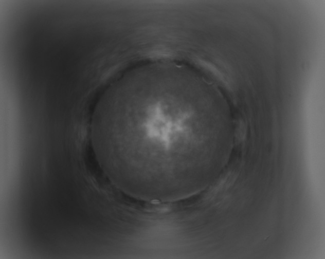 X0000100901157200807081056