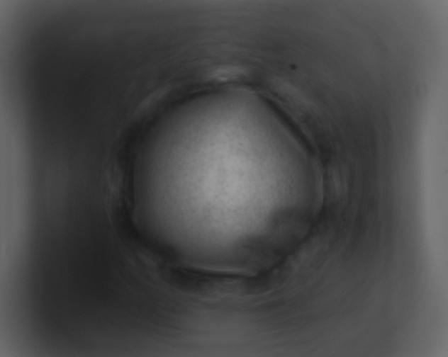 X0000100901158200807081056