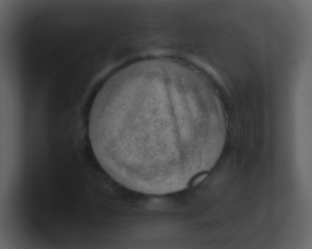 X0000100901160200807081056