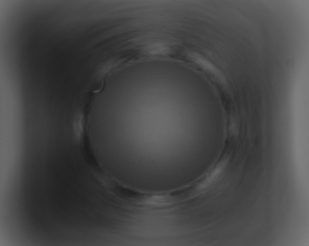 X0000100901161200807081056