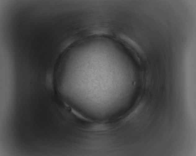 X0000100901162200807081056