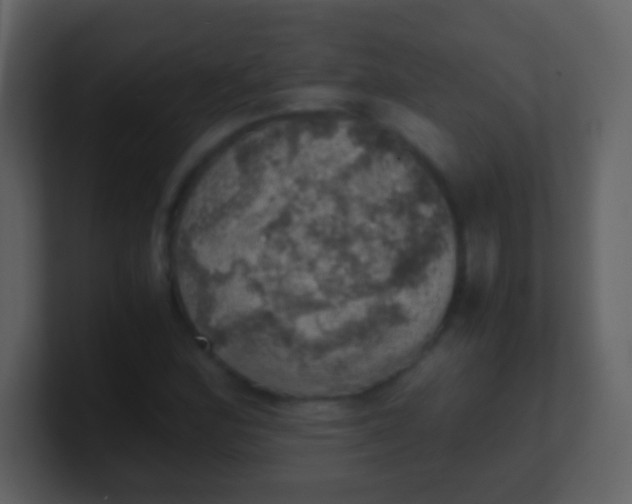 X0000100901164200807081056