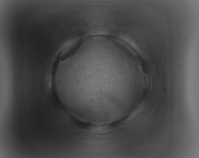 X0000100901165200807081056