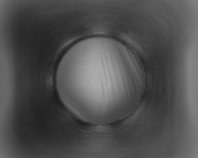 X0000100901166200807081056