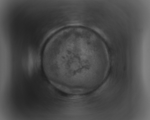 X0000100901167200807081056