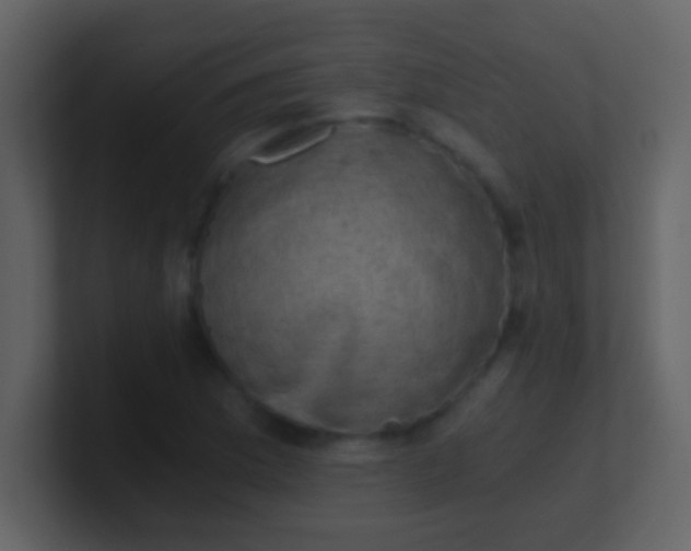 X0000100901169200807081056