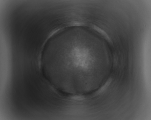 X0000100901170200807081056